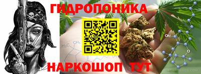 МДПВ Лесосибирск