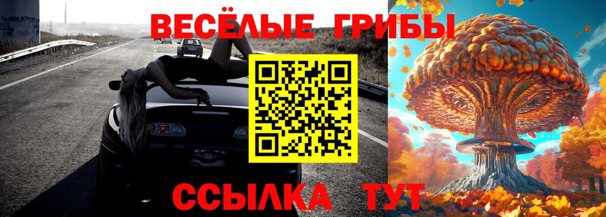 Псилоцибиновые грибы мицелий  Вход с VPN  Псилоцибиновые грибы GOLDEN TEACHER  Ижевск 